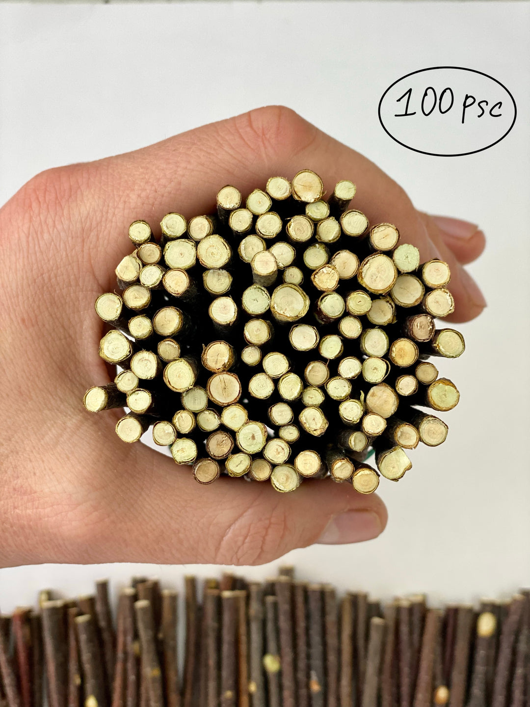 100 pcs Ecovenik Small Wood Sticks for Crafts - 4 Inch Birch Wood Craft Sticks - Natural Twigs Sticks for Crafting, DIY School Projects, Card Making, Embellishments & Photo Props