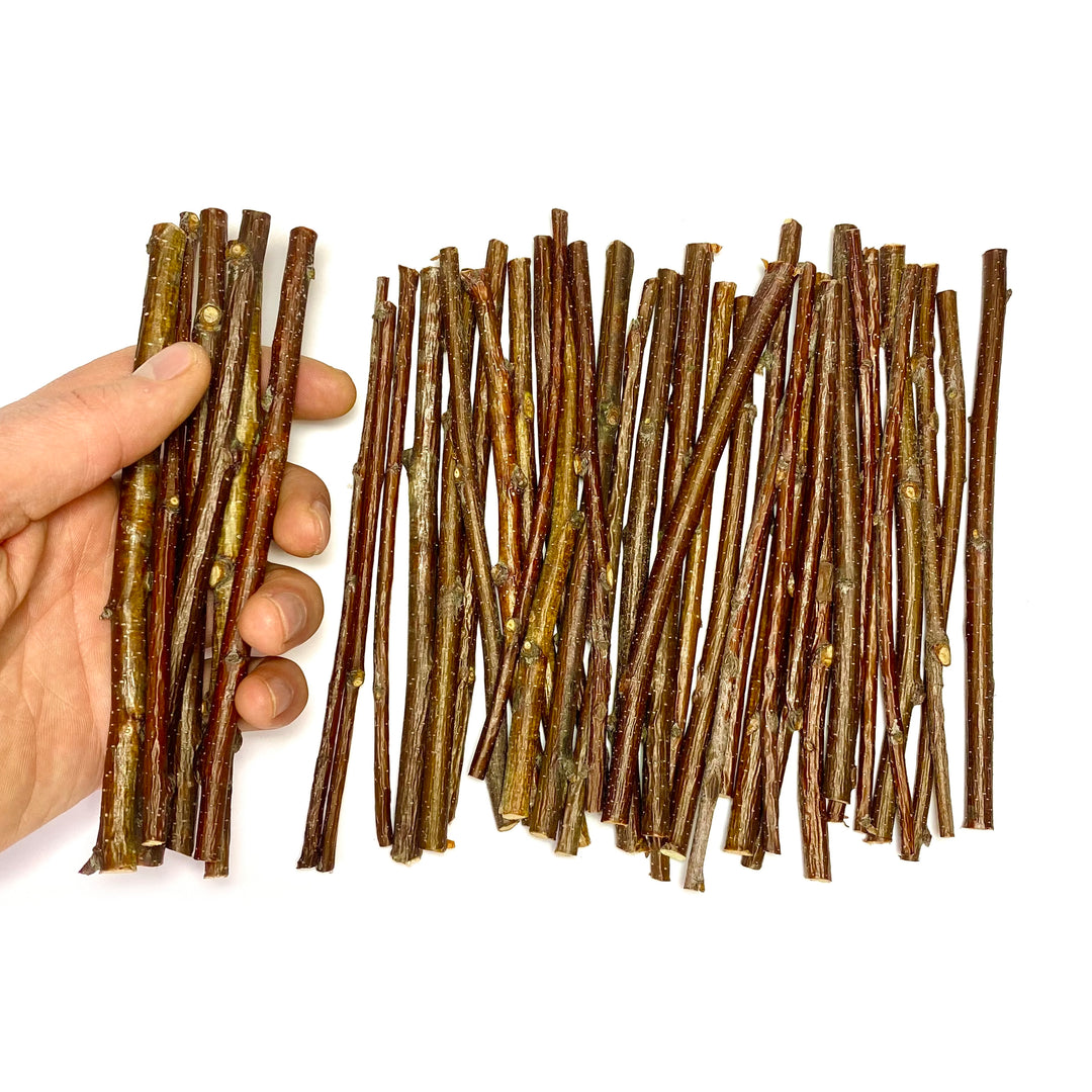 120g Pack, 6-Inch Length - Ecovenik Natural Birch Wood Craft Sticks for Crafting, DIY School Projects, Card Making, Embellishments & Photo Props