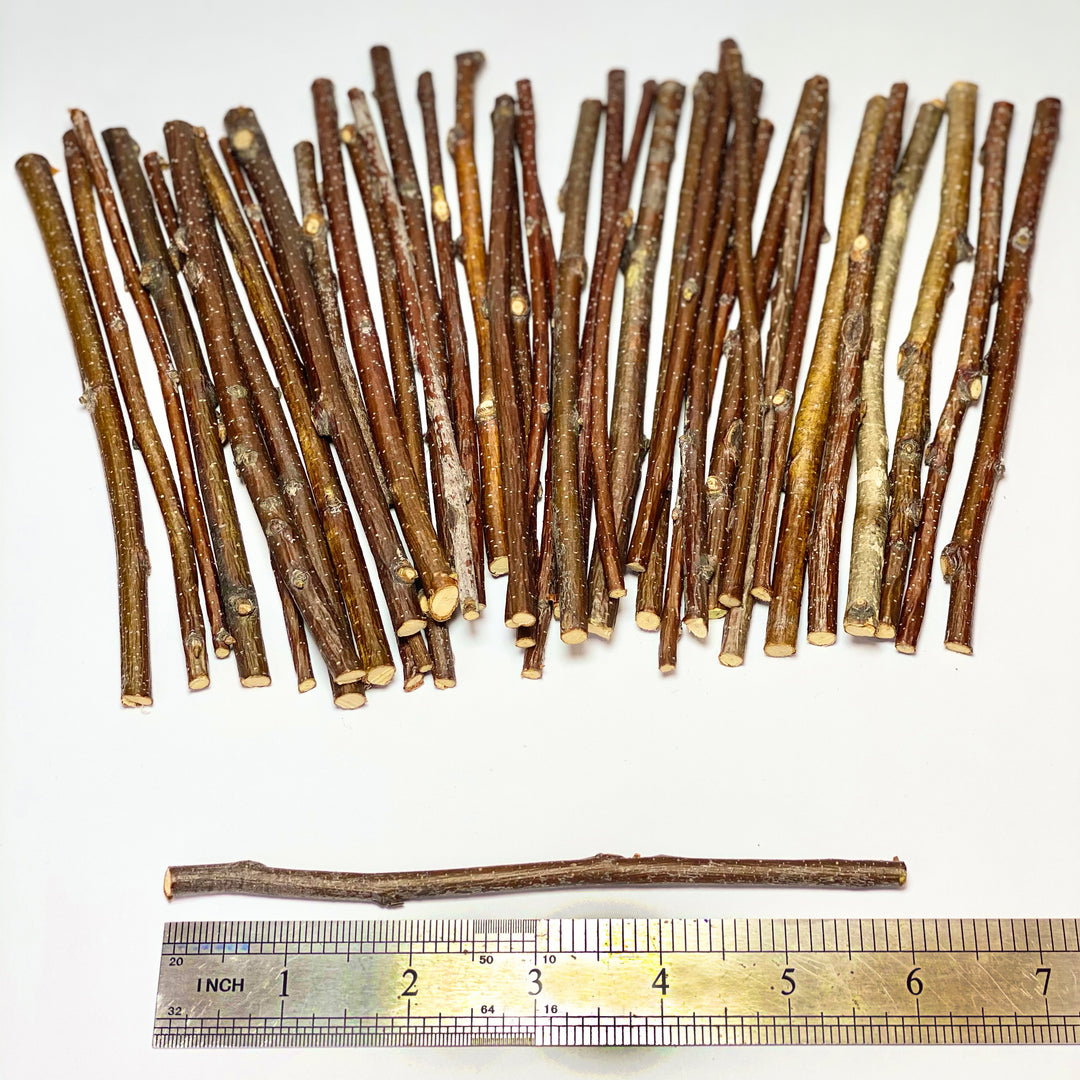 300g Ecovenik Wood Sticks for Crafts - 6 Inch - Birch Wood Craft