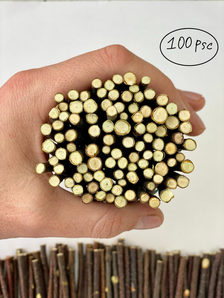 100 pcs Ecovenik Small Wood Sticks for Crafts - 4 Inch Birch Wood Craft Sticks - Natural Twigs Sticks for Crafting, DIY School Projects, Card Making, Embellishments & Photo Props