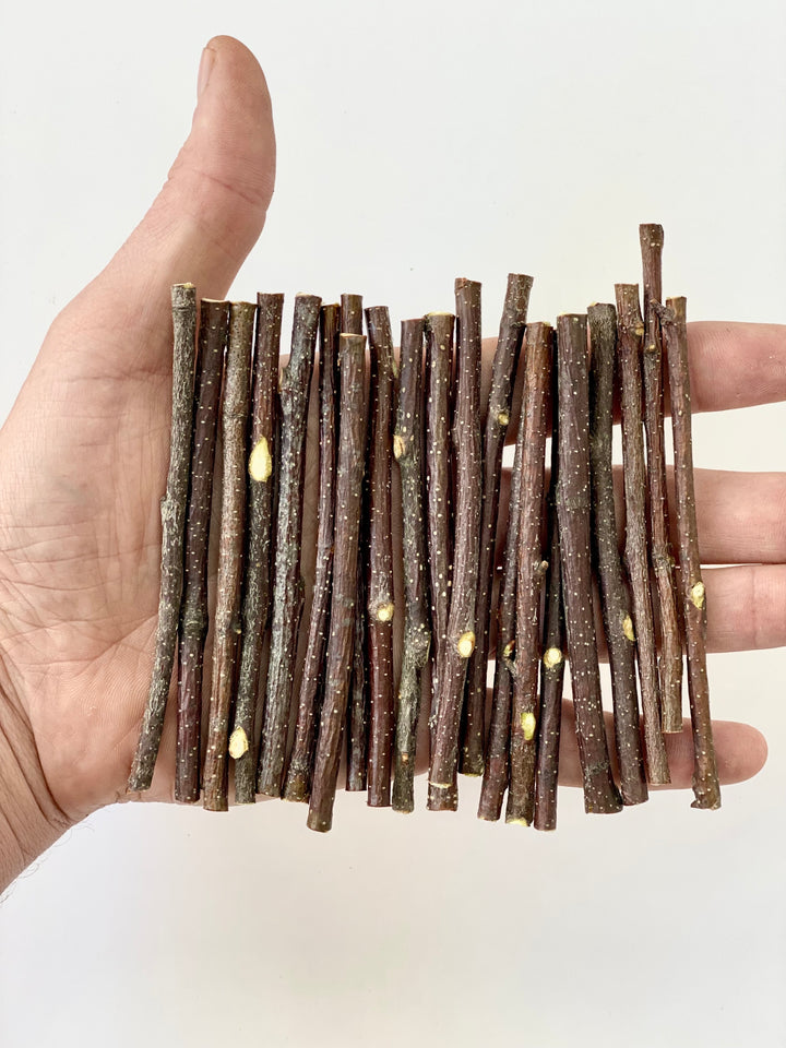 100 pcs Ecovenik Small Wood Sticks for Crafts - 4 Inch Birch Wood Craft Sticks - Natural Twigs Sticks for Crafting, DIY School Projects, Card Making, Embellishments & Photo Props