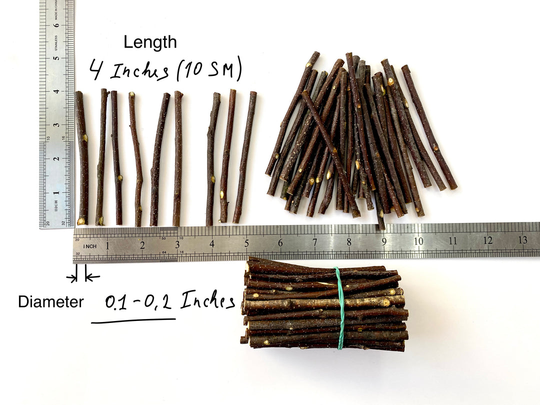 100 pcs Ecovenik Small Wood Sticks for Crafts - 4 Inch Birch Wood