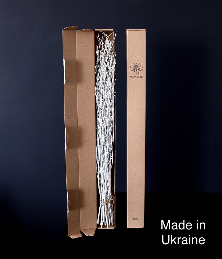 73 cm Ecovenik White-Grey Birch Branches - Natural Birch Twigs, Pack of 20-25 Stems, 29 inch Long for Floor Vases