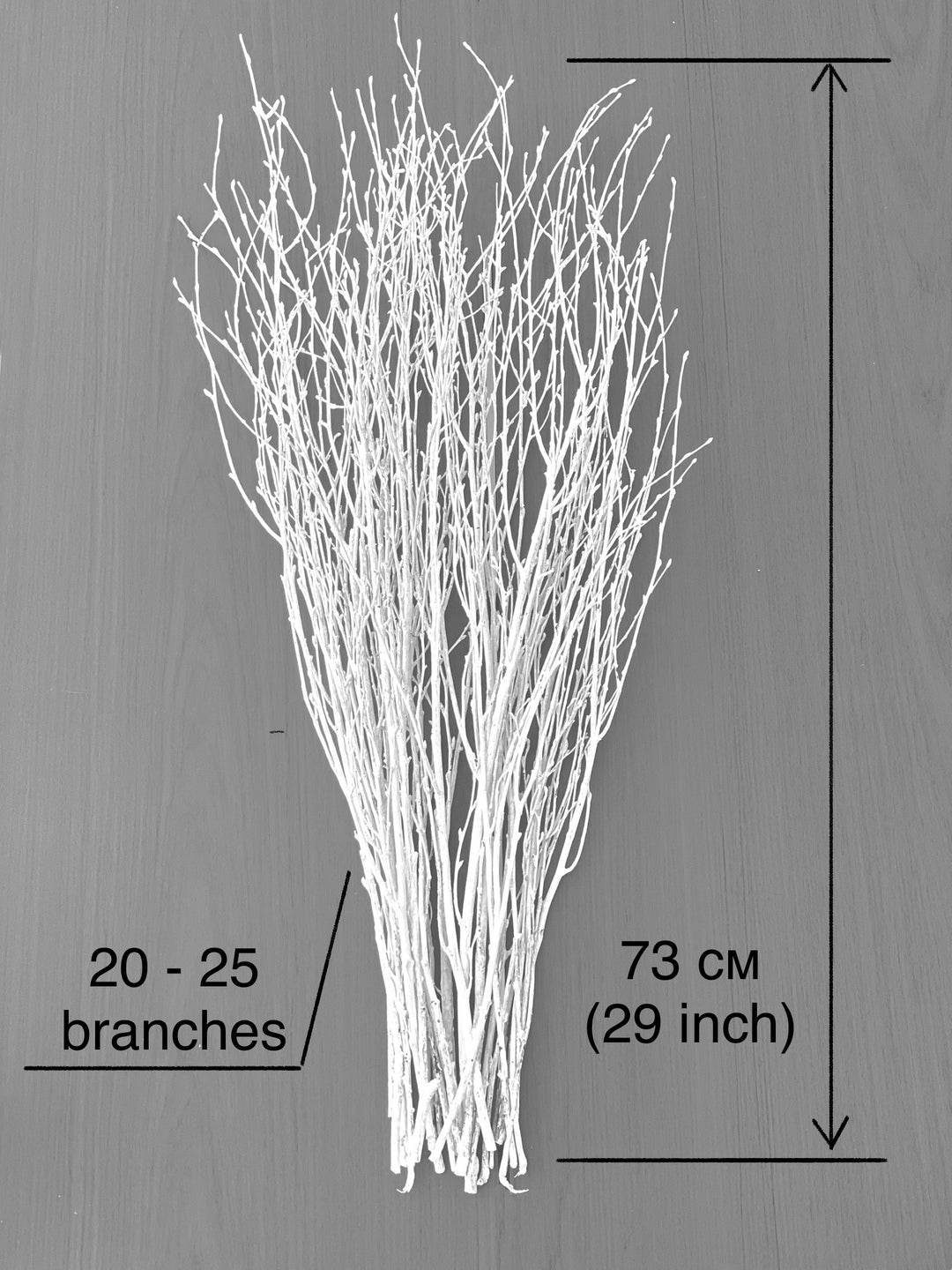 73 cm Ecovenik White-Grey Birch Branches - Natural Birch Twigs, Pack of 20-25 Stems, 29 inch Long for Floor Vases