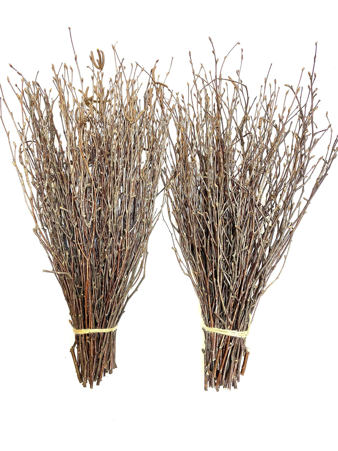 Uieke 200PCS Birch Twigs – 17 Inch Natural Dried Plants Decorative Birch  Branches for DIY Crafts, Birch Sticks for Vases Wedding Arrangements Home