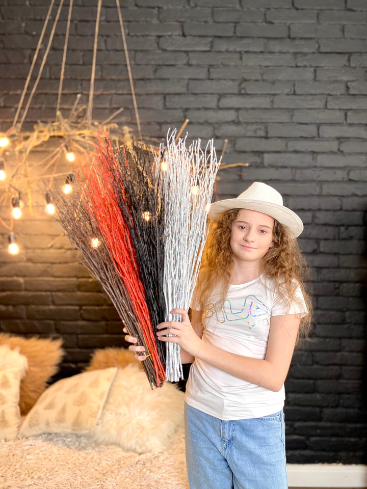 73 cm Black Birch Branches - Natural Birch Twigs, Pack of 20-25 Stems, 29 inch Long - Create Stunning Floor Vases and Striking Floral Displays