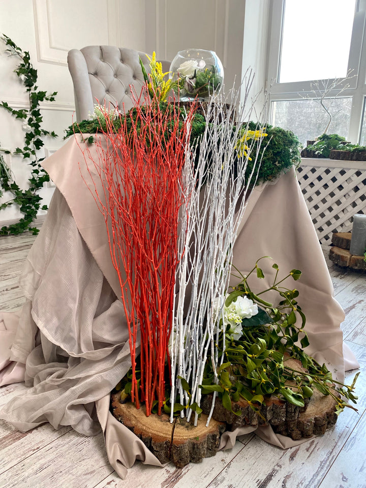 73 cm Ecovenik Orange - Red Birch Branches - Natural Birch Twigs, Pack of 20-25 Stems, 29 inches Long - Perfect for Floor Vases and Striking Colorful Decor