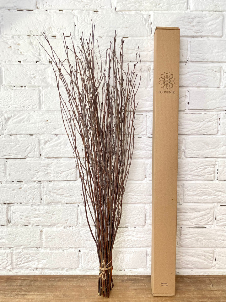 73 cm Ecovenik Brown Birch Branches - Natural Birch Twigs, Pack of 20-25 Stems, 29 inches Long - Perfect for Floor Vases and Striking Natural Decor