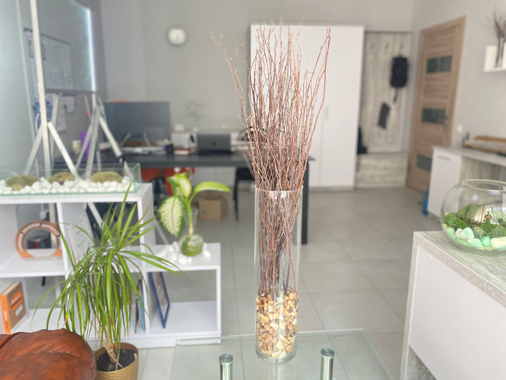 73 cm Ecovenik Brown Birch Branches - Natural Birch Twigs, Pack of 20-25 Stems, 29 inches Long - Perfect for Floor Vases and Striking Natural Decor