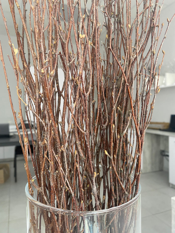 73 cm Ecovenik Brown Birch Branches - Natural Birch Twigs, Pack of 20-25 Stems, 29 inches Long - Perfect for Floor Vases and Striking Natural Decor