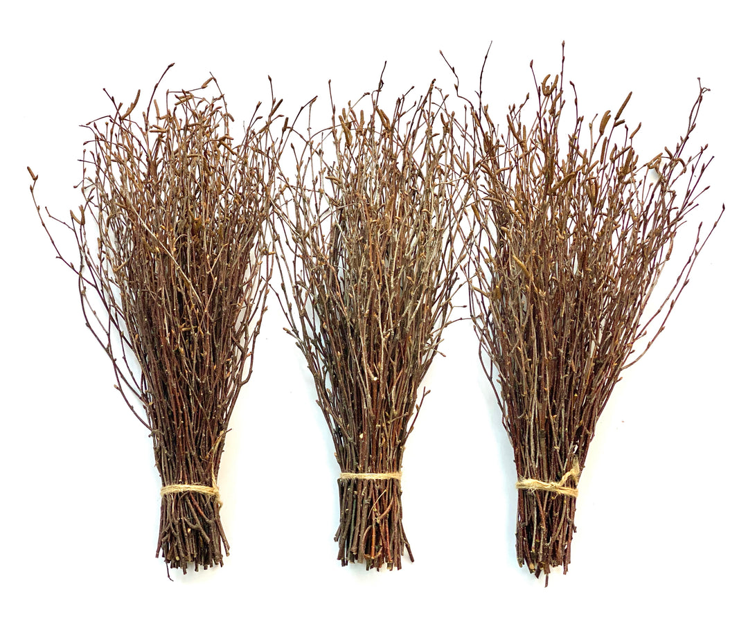 Uieke 100PCS Natural Dried Birch Twigs – 17 Inch Dried Plants Decorative  Birch Branches for DIY Crafts, Birch Sticks for Vases Wedding Arrangements