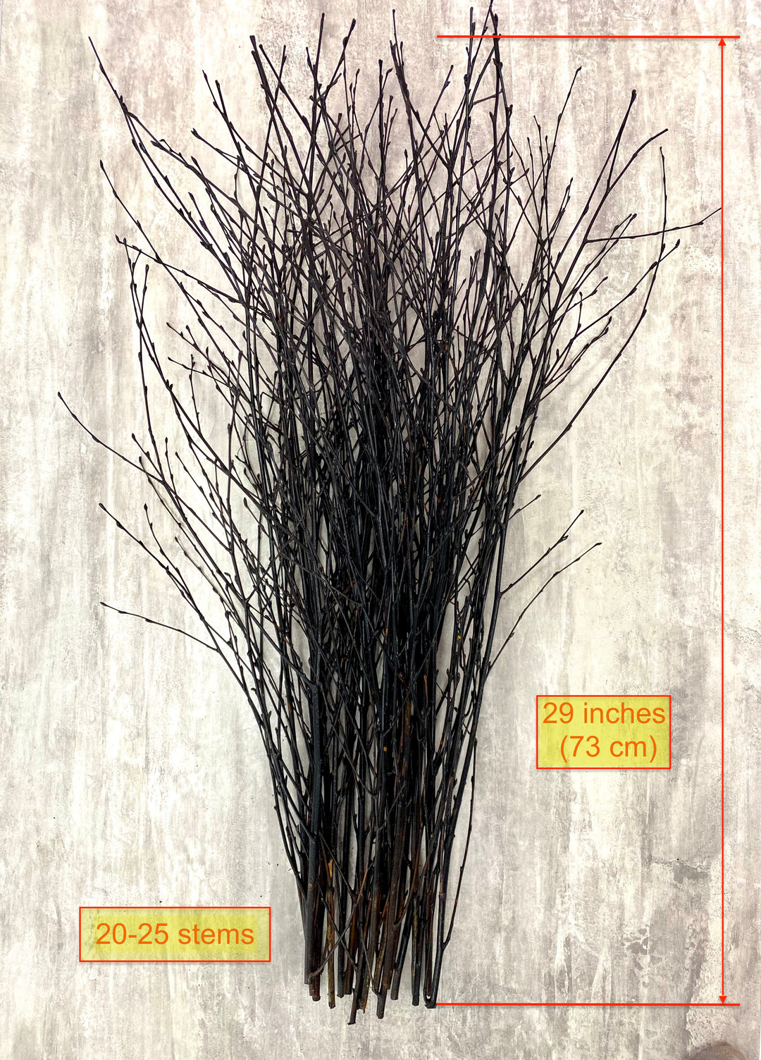 ECOVENIK 25 psc - Black Birch Branches - 73 cm, Natural Birch Twigs, Pack  of 20-25 Stems, Long for Floor vases, 29 inch…