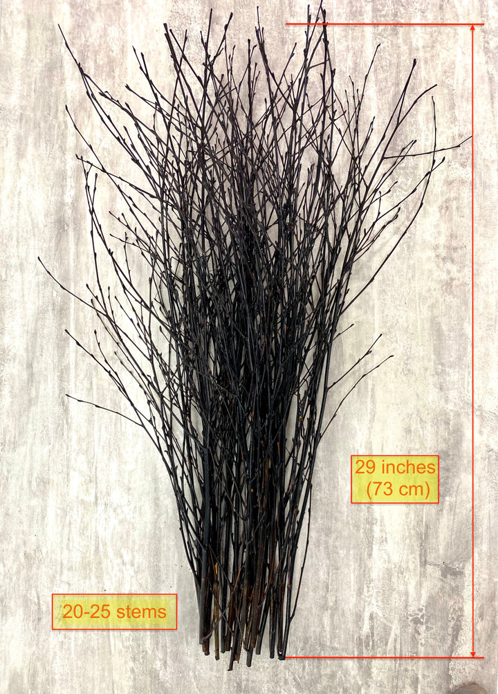 73 cm Black Birch Branches - Natural Birch Twigs, Pack of 20-25 Stems, 29 inch Long - Create Stunning Floor Vases and Striking Floral Displays