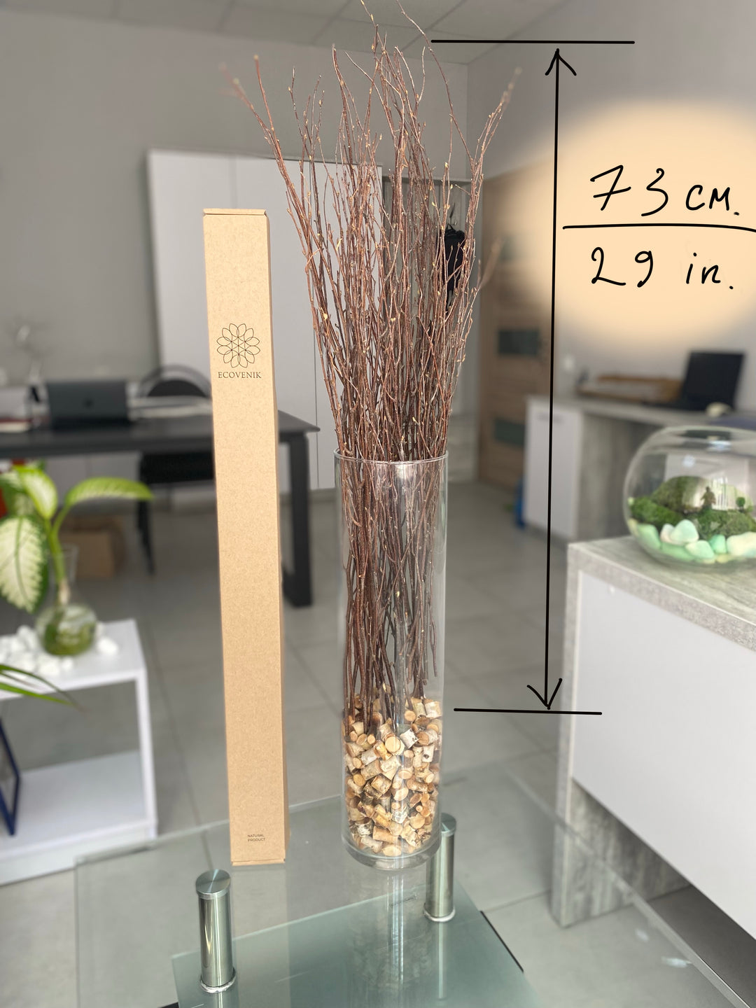 ECOVENIK 25 psc - Branches - 73 cm, Natural Birch Twigs, Pack of 20-25  Stems, Long for Floor vases, (Natural-Brown Color )
