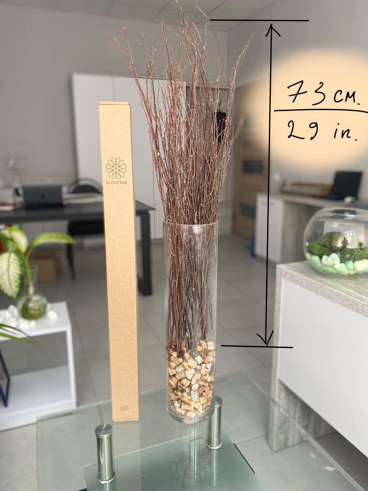 73 cm Ecovenik Brown Birch Branches - Natural Birch Twigs, Pack of 20-25 Stems, 29 inches Long - Perfect for Floor Vases and Striking Natural Decor