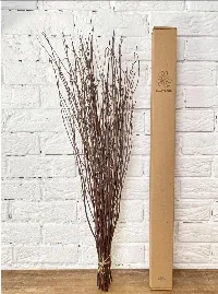 25 psc - Branches - 73 cm, Natural Birch Twigs, Pack of 20-25 Stems, Long for Floor vases, (Natural-Brown Color )