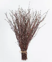 50 psc. Birch Twigs – 100% Natural Decorative Branches for Vases, Centerpieces & DIY Crafts – Birch Sticks for Decoratin