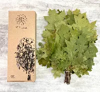 Season 2026 - Natural Canadian Oak, Branches Dry for a Sauna Accessories for Banya 100% Handmade (Made in Ukraine)