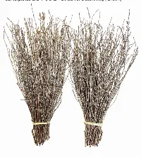 100 psc. Birch Twigs – 100% Natural Decorative Branches for Vases, Centerpieces & DIY Crafts – Birch for Decoratin