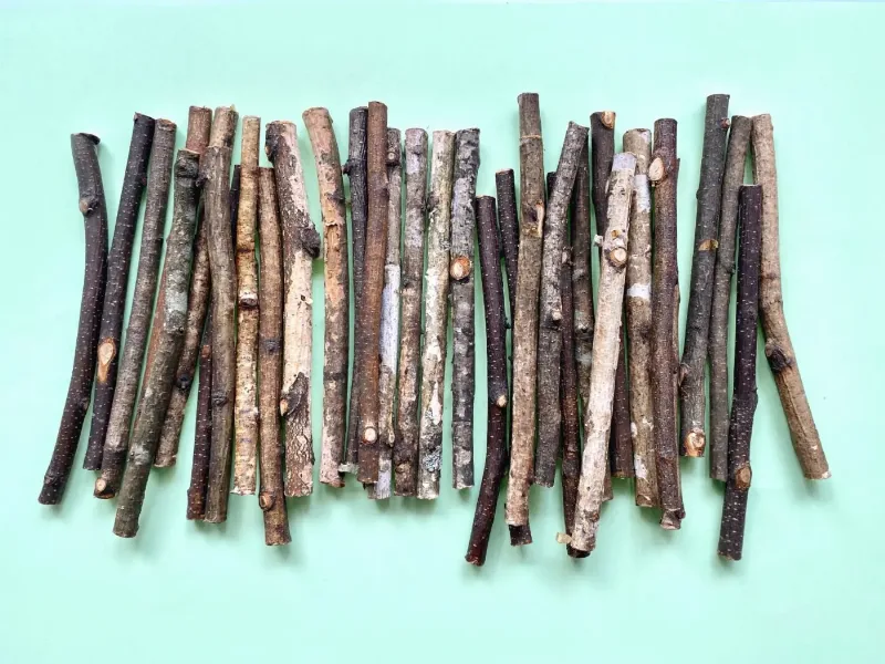 200 g, Wood Sticks for Crafts - 6 Inch Birch Wood Craft Sticks - Natural Twigs Sticks for Crafting, DIY School Projects