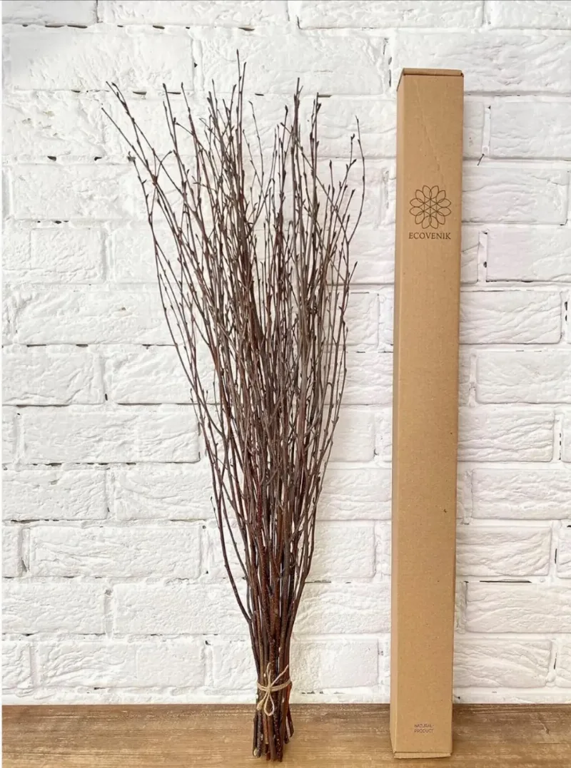 25 psc - Branches - 73 cm, Natural Birch Twigs, Pack of 20-25 Stems, Long for Floor vases, (Natural-Brown Color )