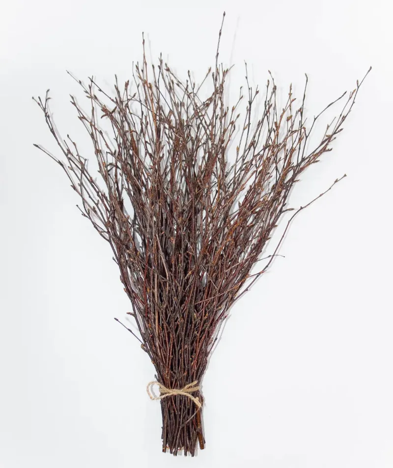 50 psc. Birch Twigs – 100% Natural Decorative Branches for Vases, Centerpieces & DIY Crafts – Birch Sticks for Decoratin