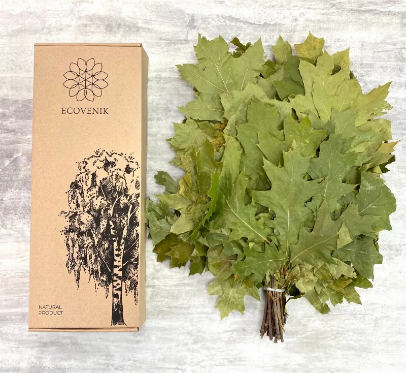 Season 2026 - Natural Canadian Oak, Branches Dry for a Sauna Accessories for Banya 100% Handmade (Made in Ukraine)