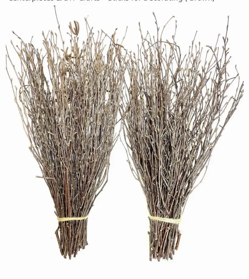 100 psc. Birch Twigs – 100% Natural Decorative Branches for Vases, Centerpieces & DIY Crafts – Birch for Decoratin